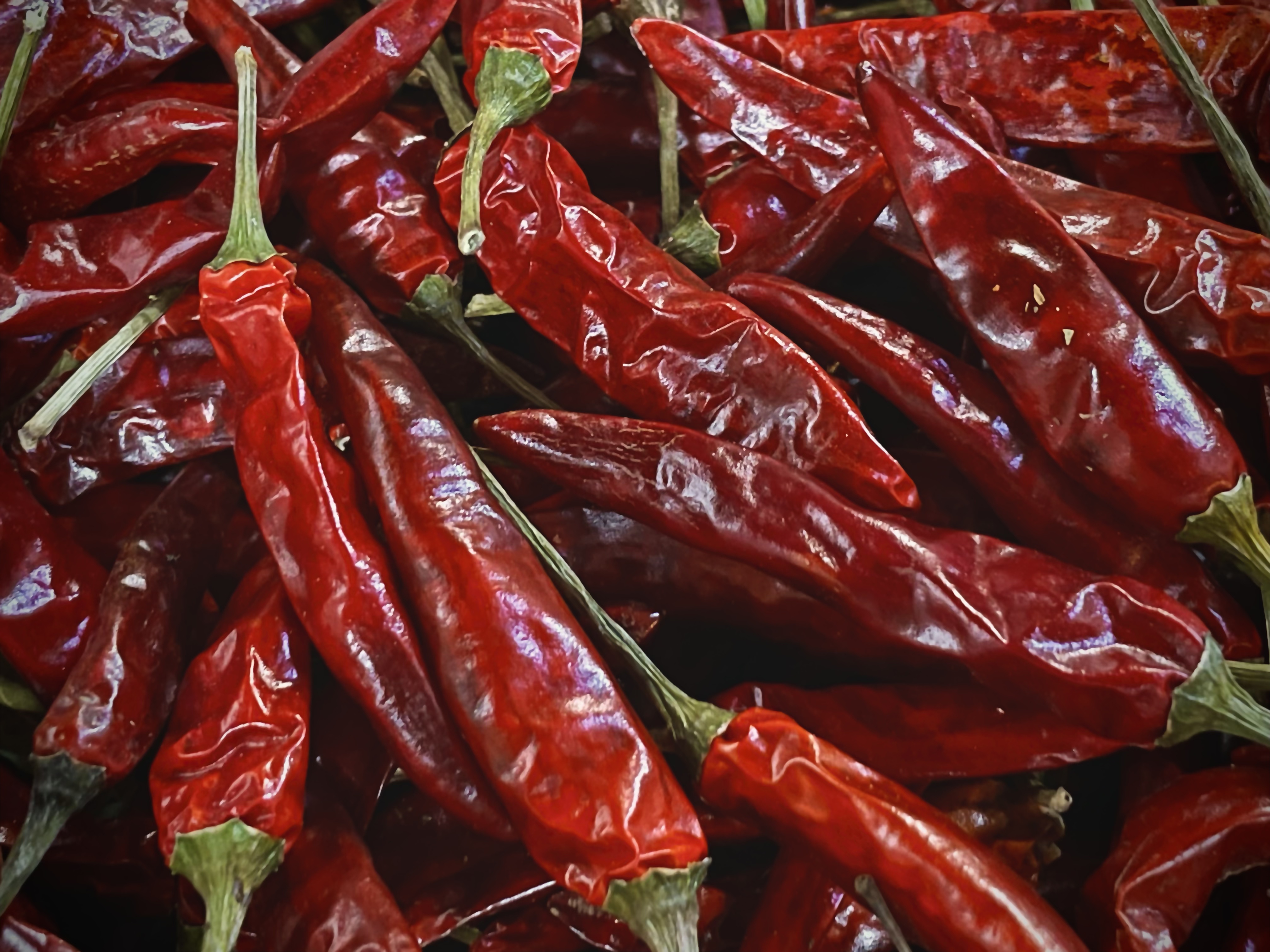 A close up image of dried, red chili peppers with green stems.