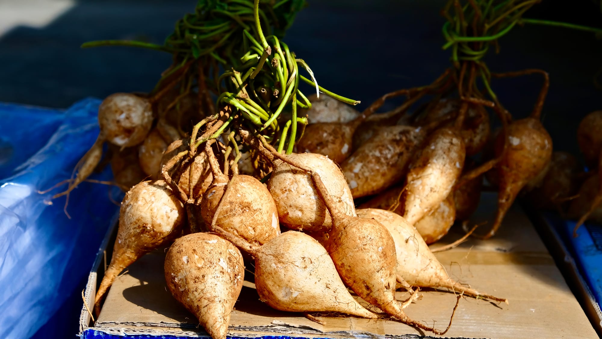 A pile of Digua tied together by their roots on a cardboard box in a market.