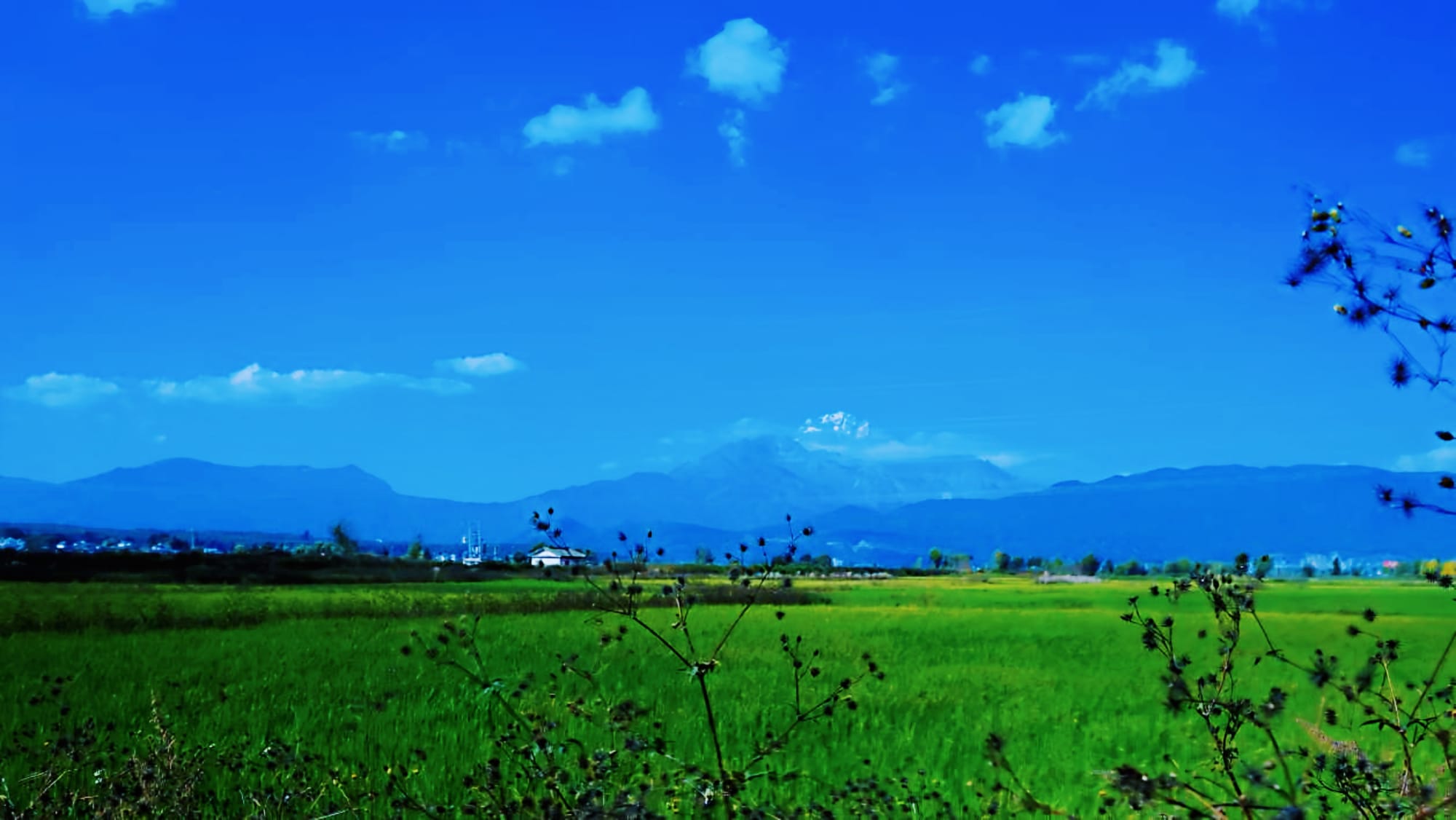 Vibrant green rice fields in front of blue mountains and sky in Yunnan, China.