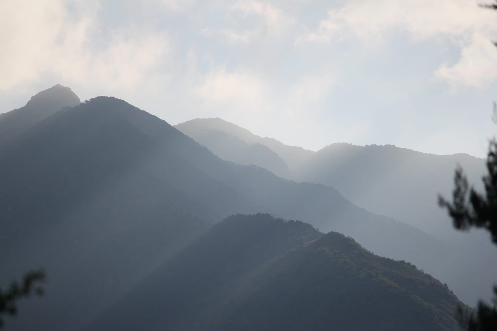 Rolling misty, pine tree-covered mountains in Dali. 