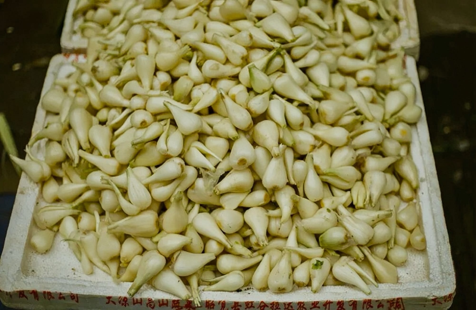Allium bulbs sit in a large pile at a market stall, looking very similar to garlic cloves.