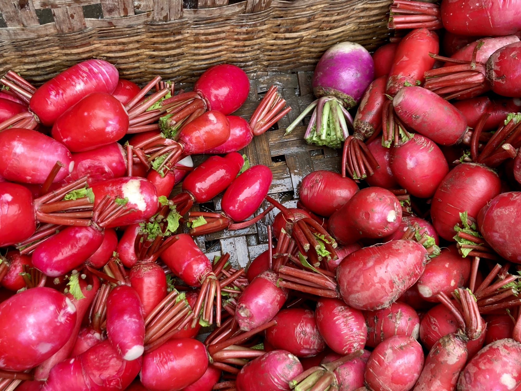 A brown bamboo basket filled with bright red radishes.