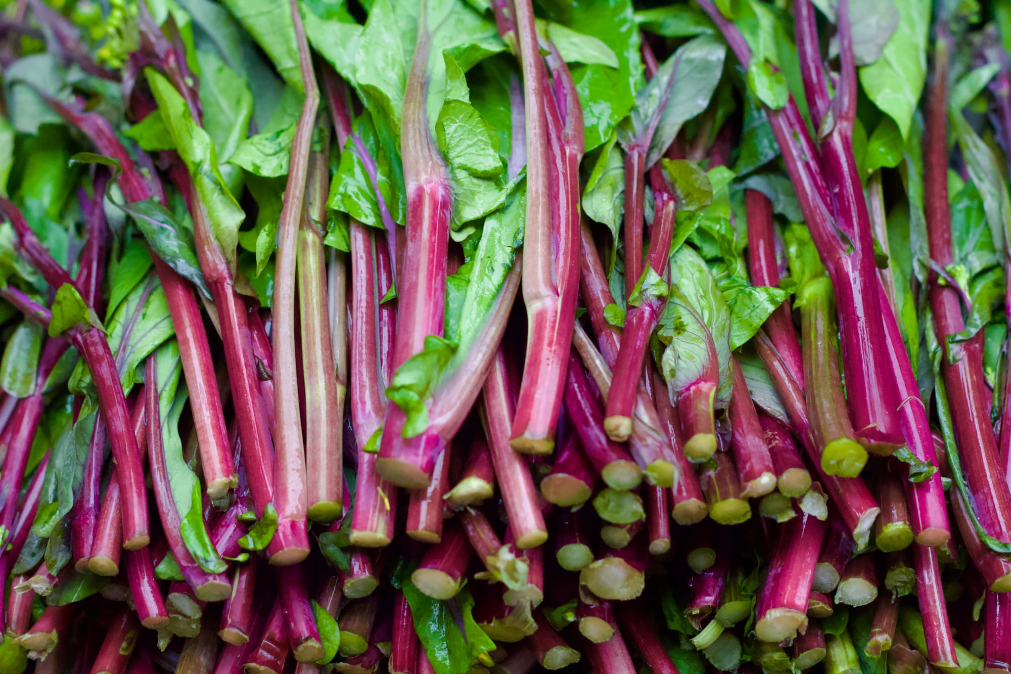 Purple caitai stacked on top of one another in a neat pile.