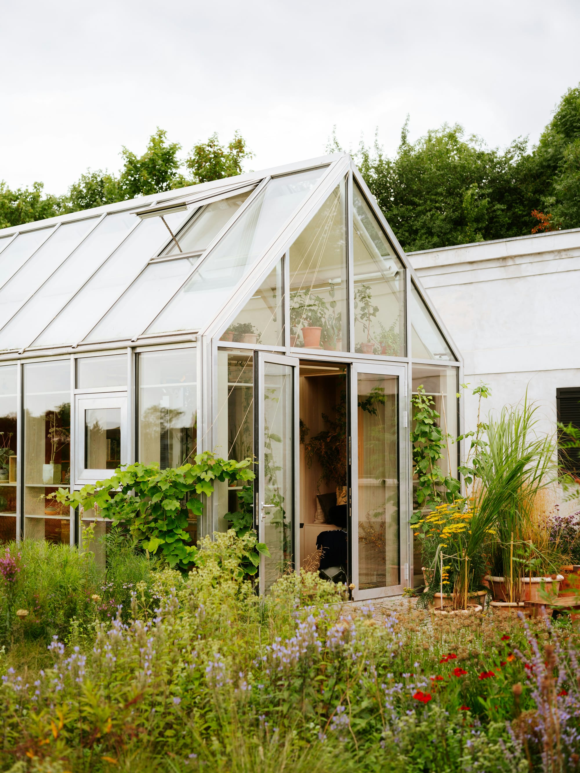 A glass greenhouse surrounded by luscious green plants.