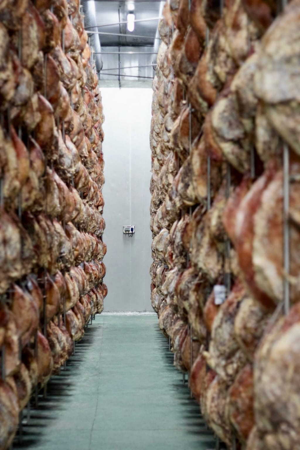 Two long rows, about 20 meters long, of pork shanks hanging on racks going up 40 feet towards the ceiling.
