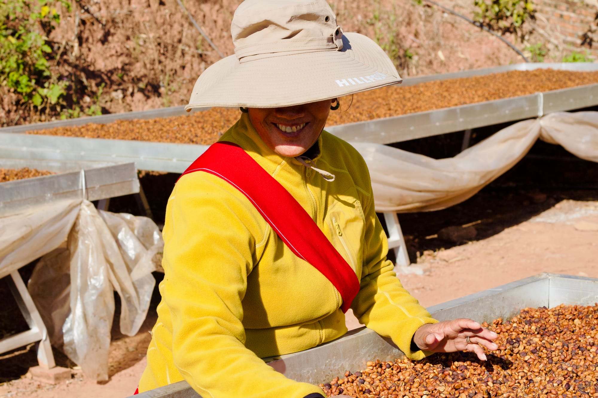 A Chinese coffee farmer explains about the local coffee growers, over plots of drying coffee cherries.