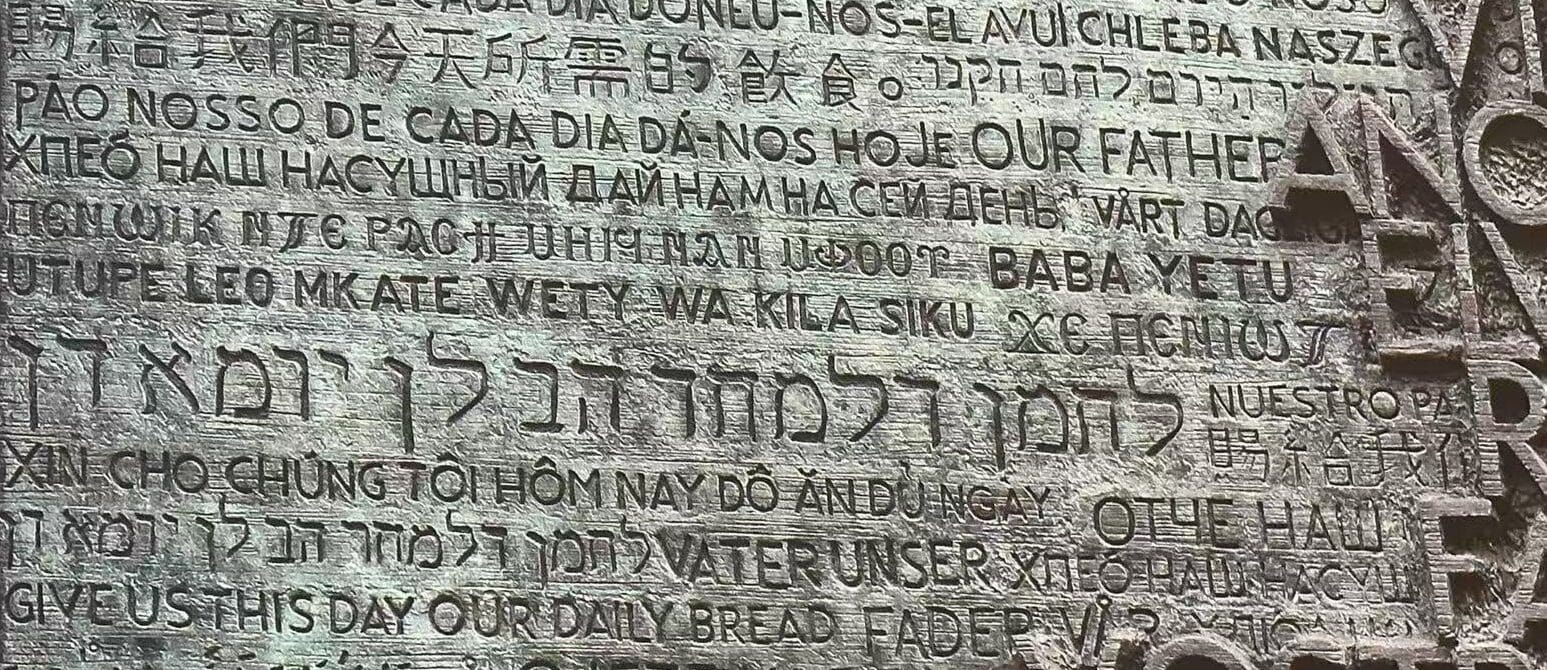 Snout & Seek - The Journey We Are On