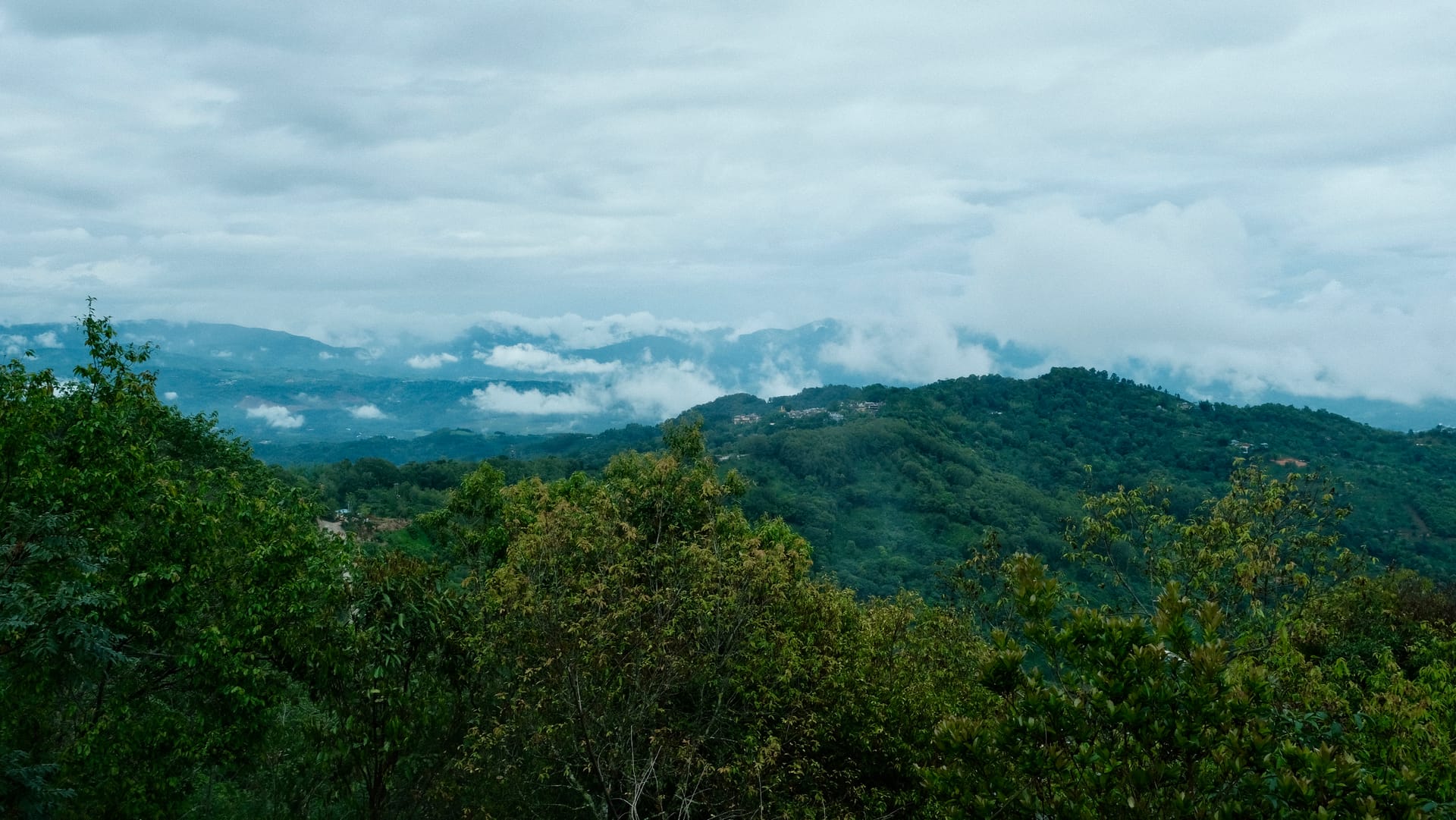 Jingmai mountain, covered in green trees with rolling wispy clouds in the sky.