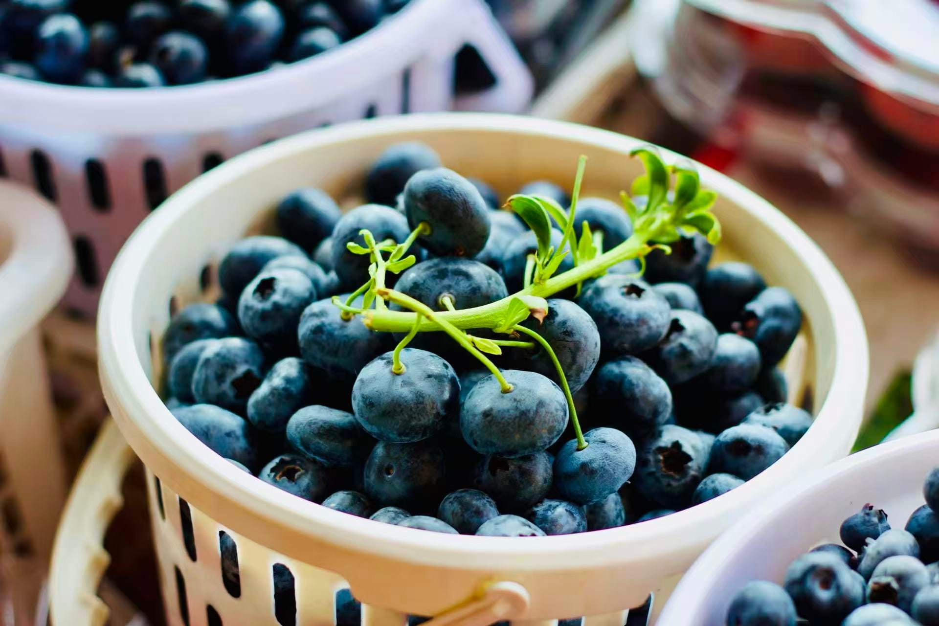 A plastic tub of giant blueberries from Yunnan.