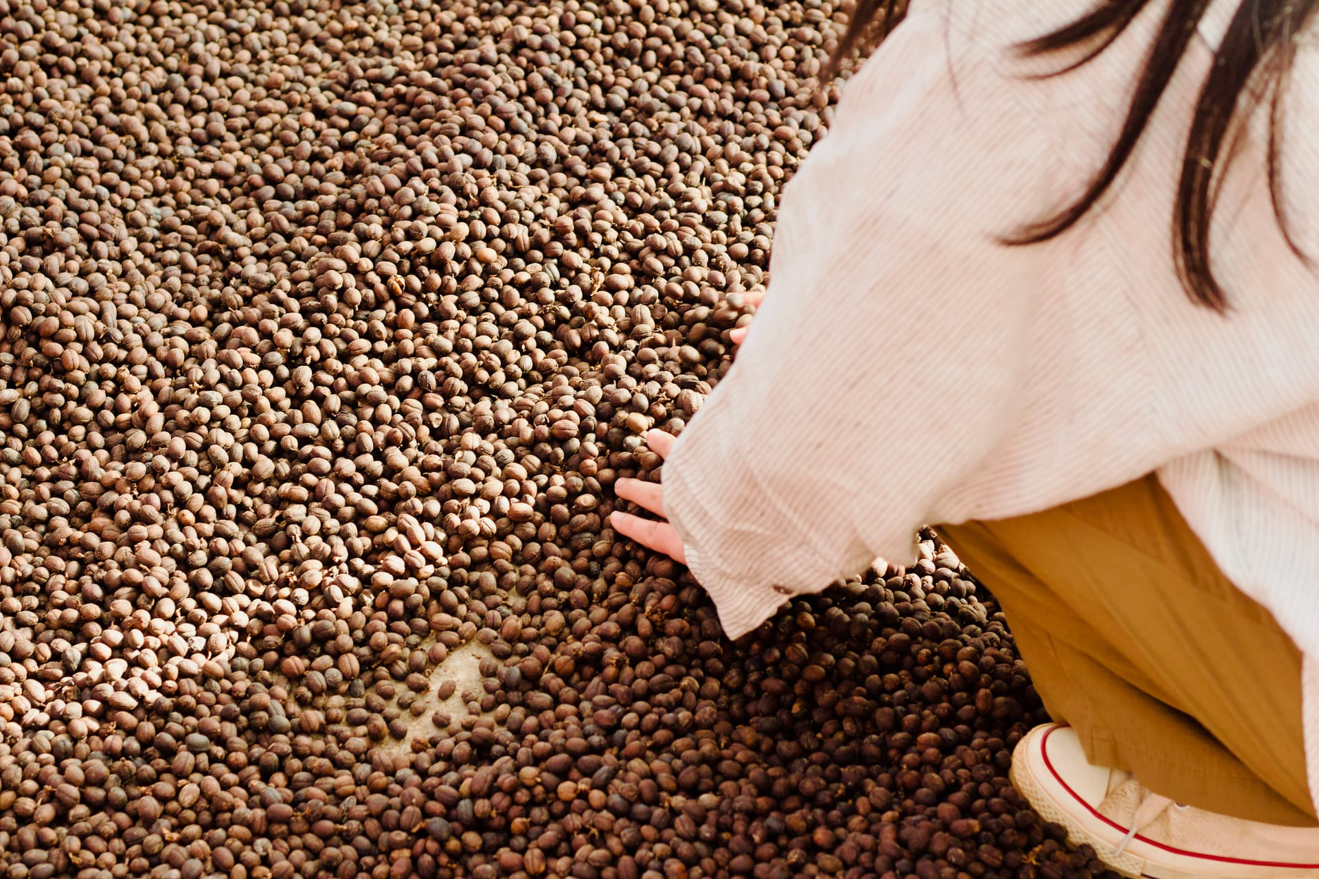 Sun-drying coffee fruit on the ground in Yunnan