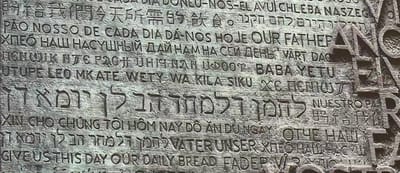 Snout & Seek - The Journey We Are On