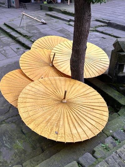Traditional Oil Umbrellas