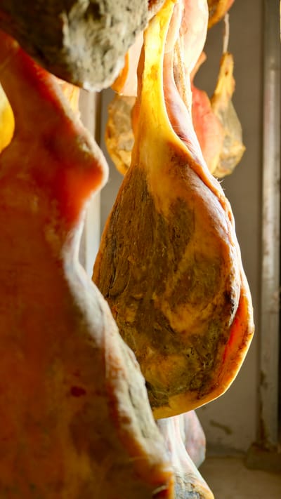 Dried pork legs hang in a curing room.